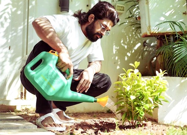 Allu Arjun plants saplings on World Environment Day; says, "Let’s do our small bit in whatever way we can"