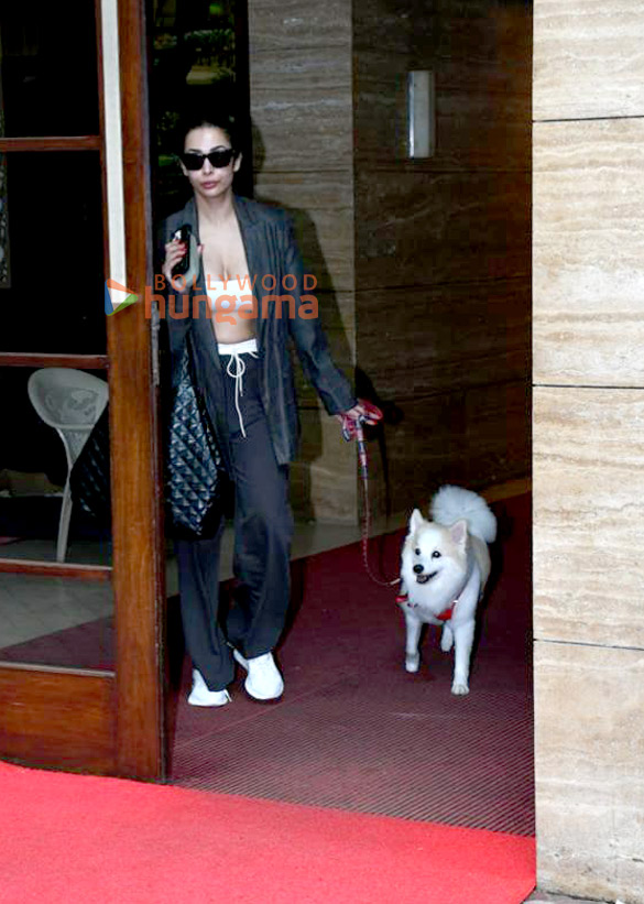 photos malaika arora spotted in khar 2 12