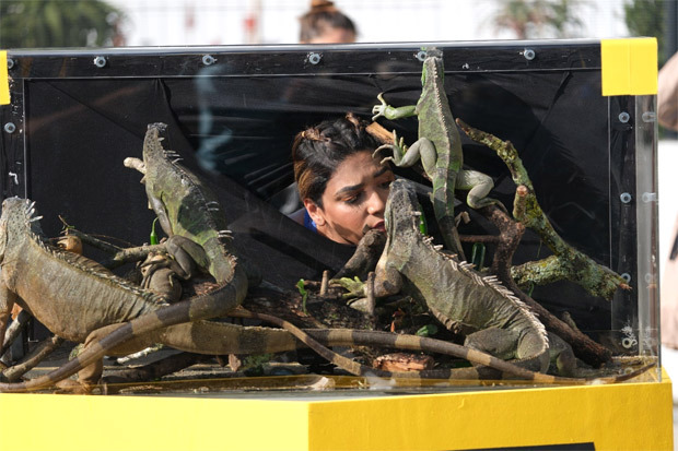 Khatron Ke Khiladi 13: Colors’ show gets an action-packed twist with ‘Target Week’