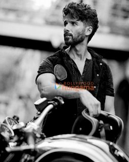 Celeb Photos Of Shahid Kapoor