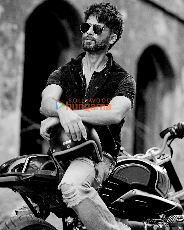 shahid kapoor 6 24