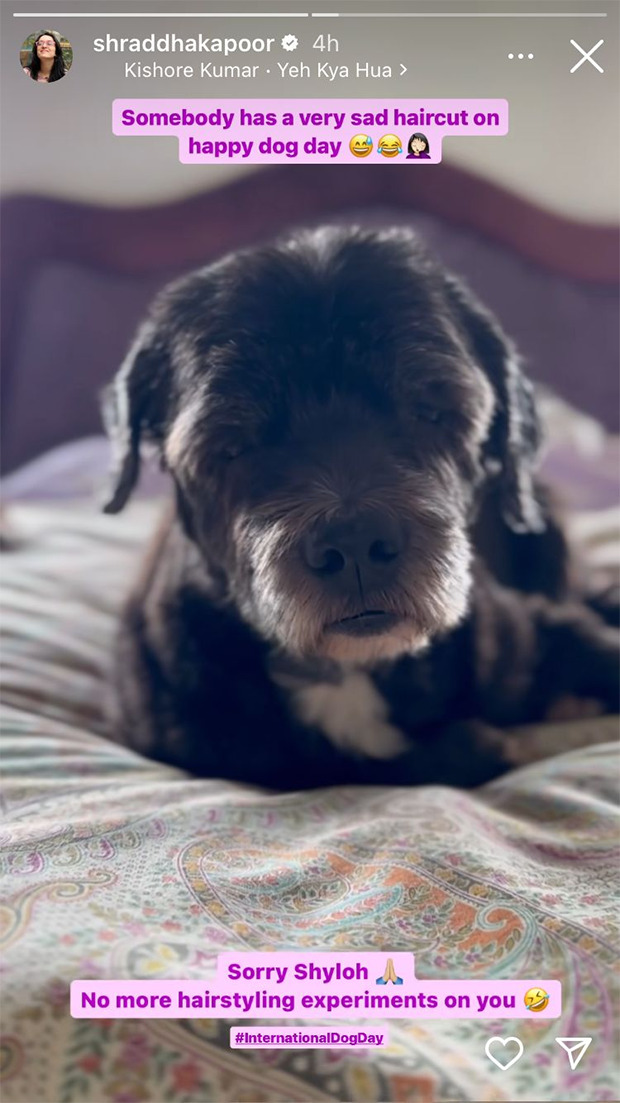 International Dog Day:  Shraddha Kapoor shares a goofy video of furball Shyloh; says, "No more hairstyle experiments on you"