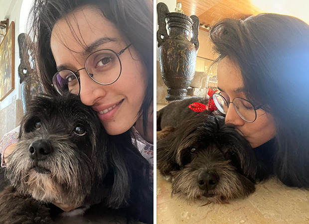 International Dog Day: Shraddha Kapoor shares a goofy video of furball Shyloh; says, "No more hairstyle experiments on you"
