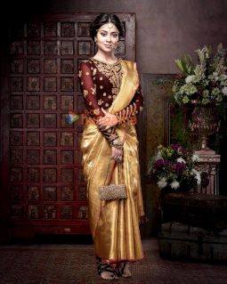 Shriya Saran