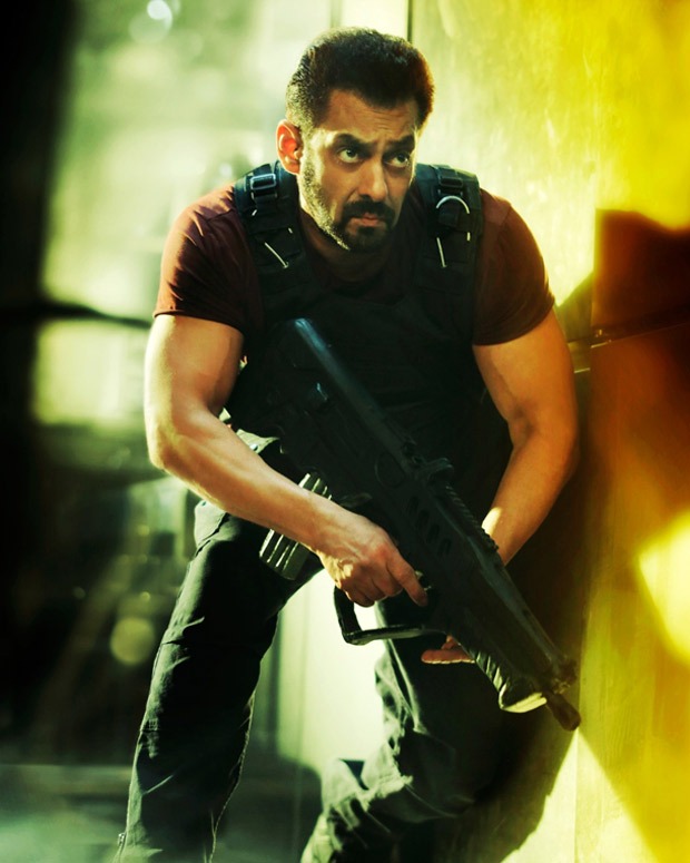 Salman Khan says action in Tiger 3 is spectacular: "The team has really pushed the envelope"