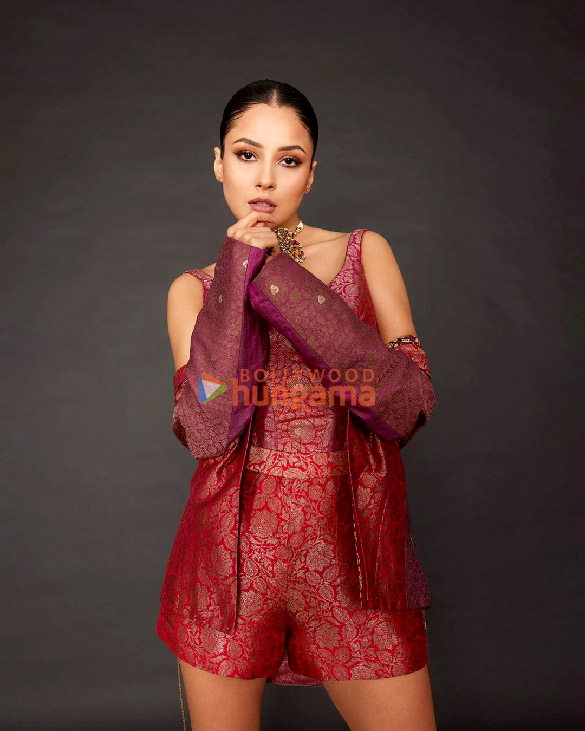 shehnaaz gill 5 29