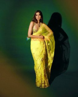 Celeb Photos Of Diana Penty
