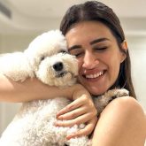 Kriti Sanon shares heartwarming birthday celebration as her furry friend Disco turns 7; see post