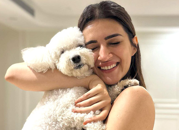 Kriti Sanon shares heartwarming birthday celebration as her furry friend Disco turns 7; see post