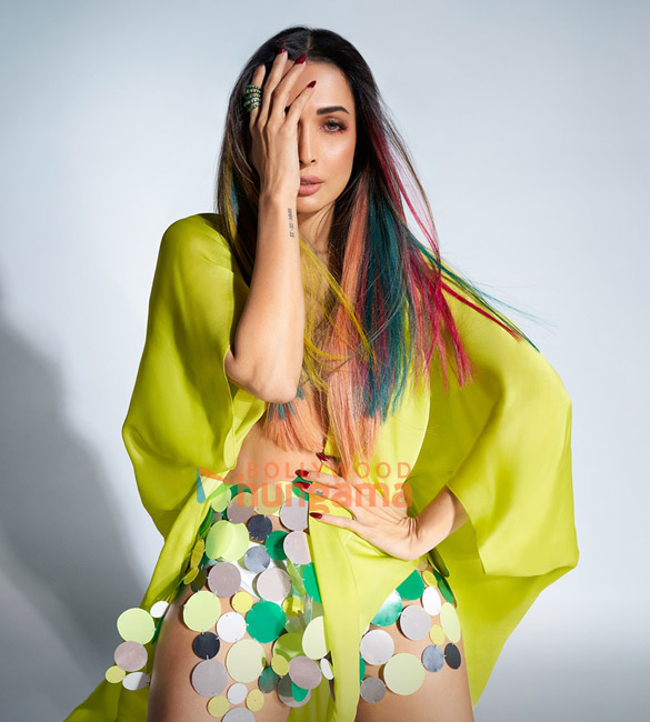 malaika arora 1 261