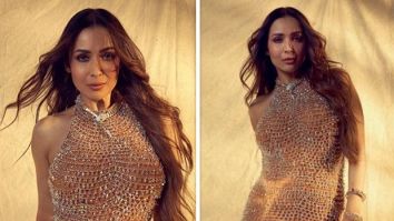Malaika Arora’s stunning embellished gown worth Rs. 2.27 lakh is perfect for your next cocktail party