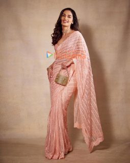 Celeb Photos Of Manushi Chhillar