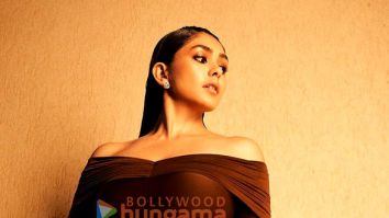 Celeb Photos Of Mrunal Thakur
