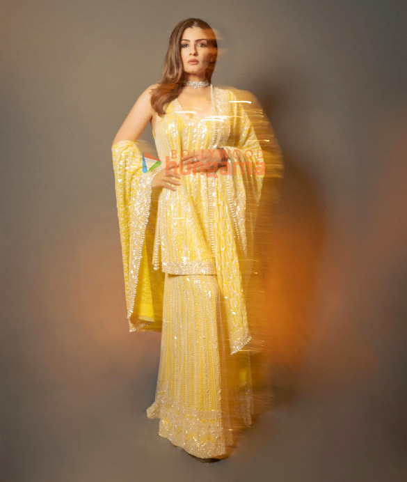 raveena tandon 3 46