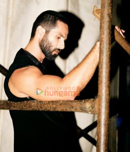 Shahid Kapoor