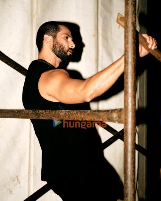 Shahid Kapoor