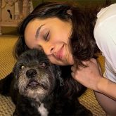 Shraddha Kapoor shares adorable ‘Moye Moye’ moment with furry friend; see post