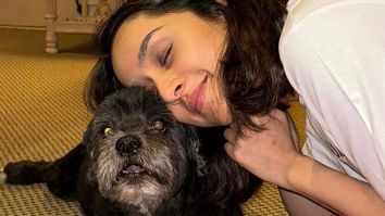 Shraddha Kapoor shares adorable ‘Moye Moye’ moment with furry friend; see post