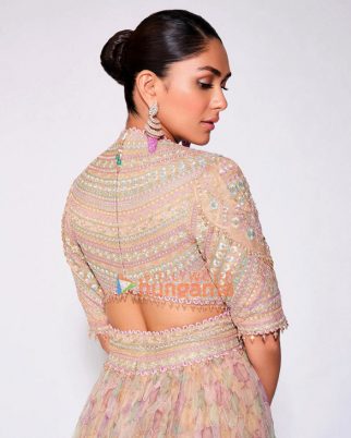 Celeb Photos Of Mrunal Thakur