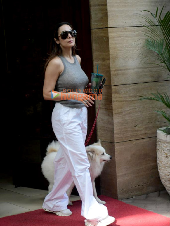 photos malaika arora snapped in bandra 3 55