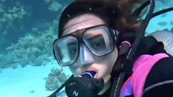 All about Sonakshi Sinha’s dive in the Red Sea!!