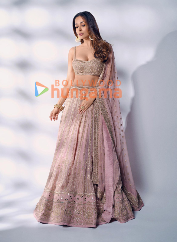 malaika arora 3 224