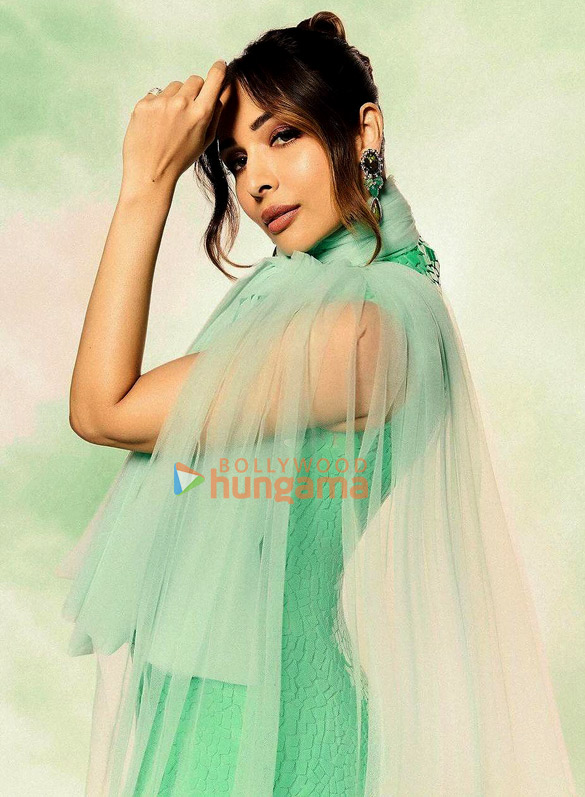 malaika arora 6 99