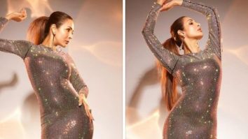 Malaika Arora sets the glamour quotient soaring in a glitzy bodycon gown