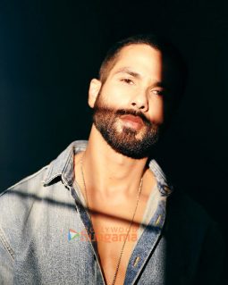 Shahid Kapoor
