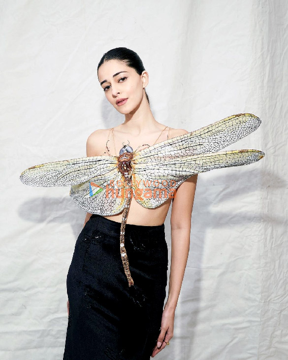 ananya panday 3 234