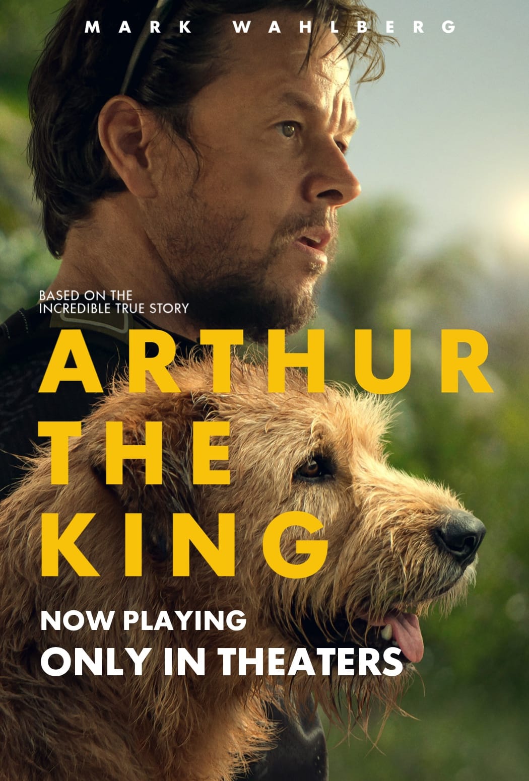 Arthur The King 2024 Release Date Nita Matelda