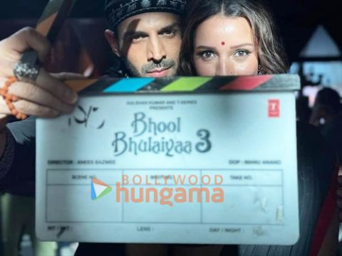 Bhool Bhulaiyaa 3 Movie: Review | Release Date (2024) | Songs | Music ...