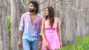 Movie Wallpapers Of The Movie De De Pyaar De 2