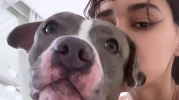 Disha Patani shows off her perfect curves as she chills with her doggo