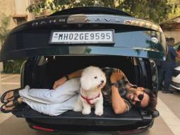 Kartik Aaryan purchases a new swanky luxurious ride Range Rover SV worth Rs. 6 crore, shares new photo with pet dog Katori