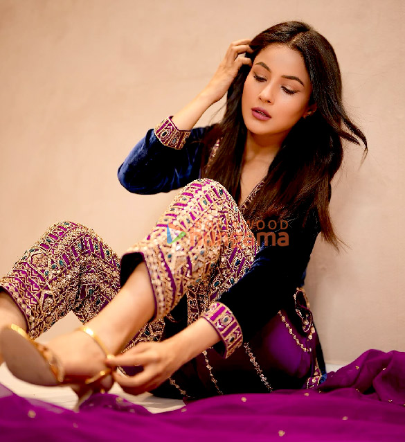 shehnaaz gill 2 57