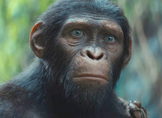 Kingdom of the Planet of the Apes sneak peek shows Noa saving a young girl amid apes hunting humans, watch