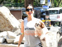 Photos: Sophie Choudry snapped outside a pet clinic in Khar