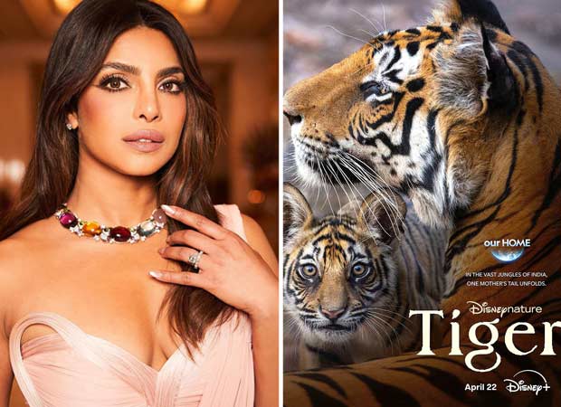 Priyanka Chopra on turning narrator for Tiger “I had so much fun lending my voice to this incredible story and exploring the jungles through this film”