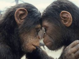 Kingdom of the Planet of the Apes Box Office: The Hollywood sci-fi saga is stable on Sunday