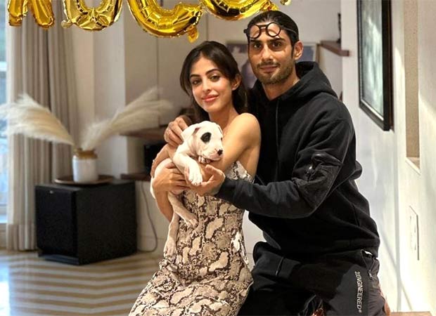 Priya Banerjee and Prateik Patil Babbar welcome a new puppy; name him ‘Rocco’