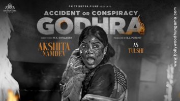Accident or Conspiracy: Godhra poster