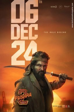 Pushpa 2 – The Rule poster