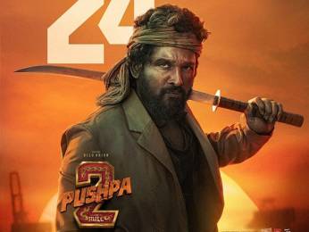 Pushpa 2 – The Rule poster