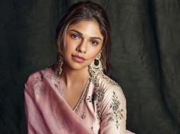 Sharmin Segal talks about fans disliking her performance in Heeramandi: “I did put in a lot of hard work”