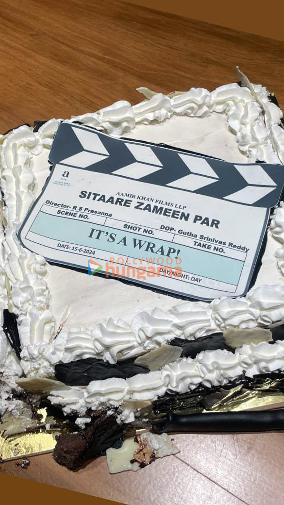 sitaare zameen par 14