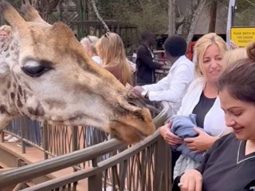 Ayesha Jhulka’s love for animals is so sweet!