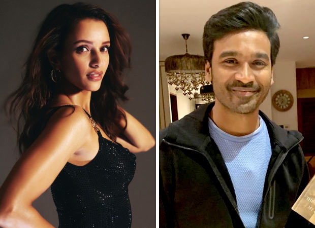 Aanand L Rai signs Triptii Dimri as leading lady in Dhanush starrer Tere Ishk Mein: Report : Bollywood News