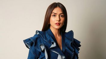 Mrunal Thakur takes fitness to new heights with aerial stunt video on Instagram, watch