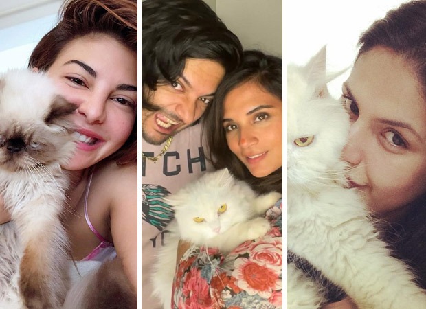 International Cat Day 2024: Jacqueline Fernandez, Richa Chadha and other Bollywood actresses who're proud cat moms